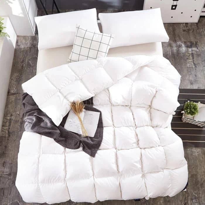 Goose-down pillow & duvet